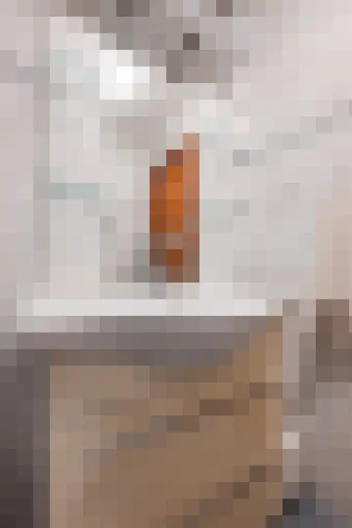 Constantijnlaan 11 Posterholt thumbnail 29