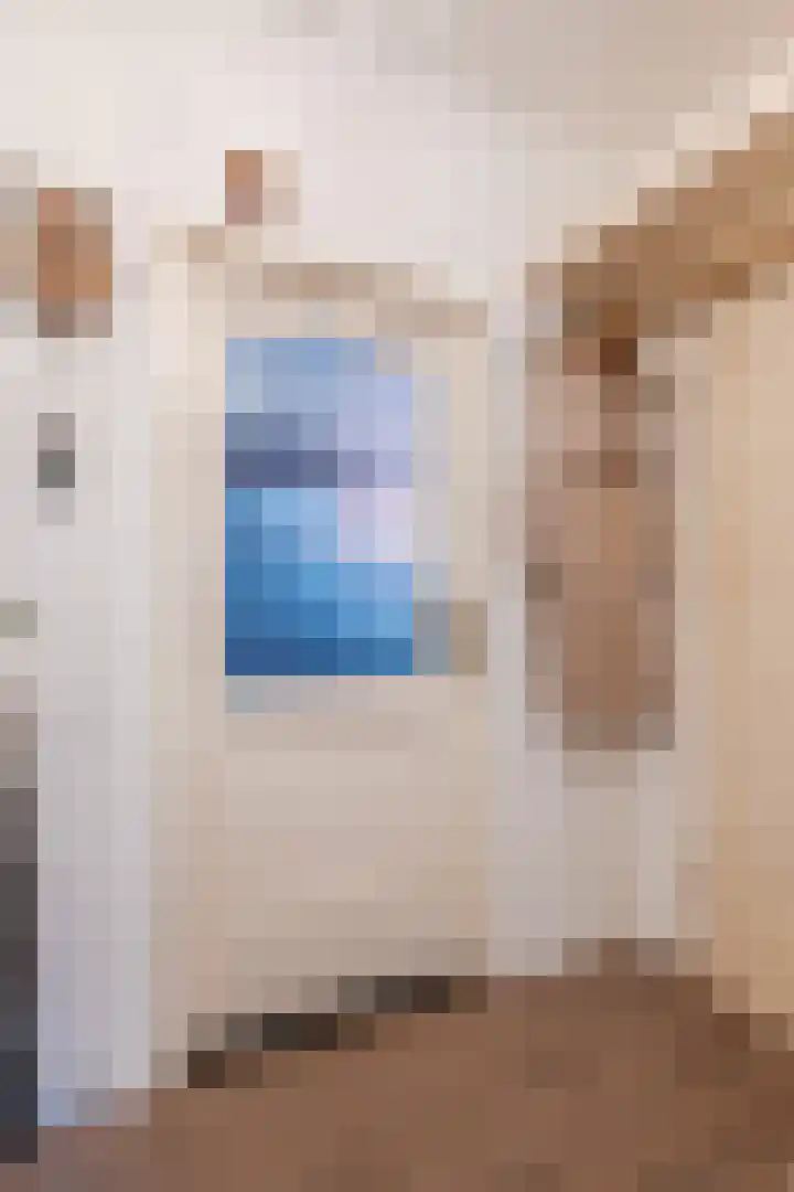Constantijnlaan 11 Posterholt thumbnail 7