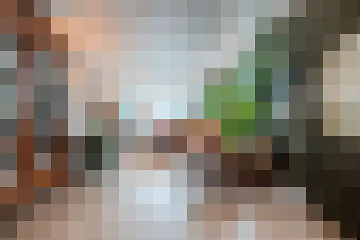 Constantijnlaan 11 Posterholt thumbnail 9