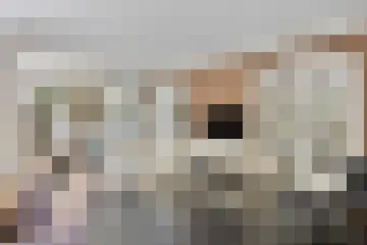 Constantijnlaan 13 Vught thumbnail 11