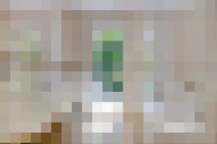 Constantijnlaan 13 Vught thumbnail 17