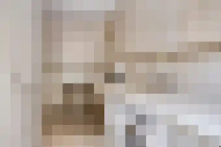 Constantijnlaan 13 Vught thumbnail 18