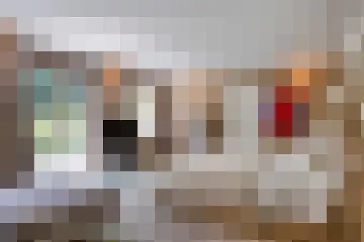 Constantijnlaan 13 Vught thumbnail 21
