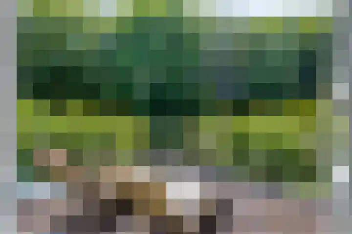 Constantijnlaan 13 Vught thumbnail 25