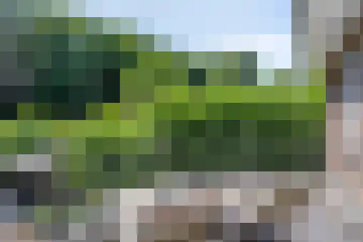 Constantijnlaan 13 Vught thumbnail 26