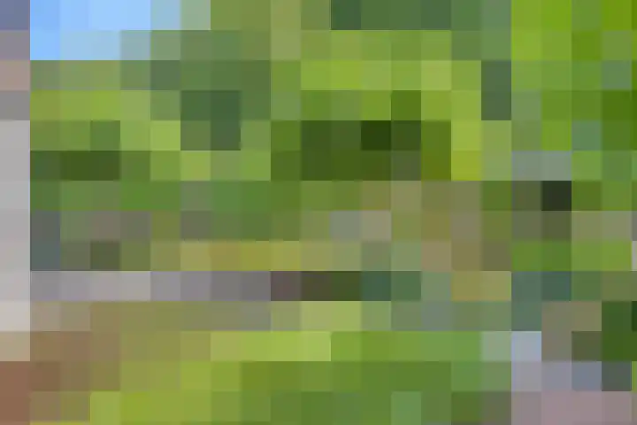 Constantijnlaan 13 Vught thumbnail 37