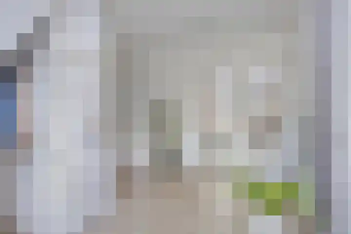 Constantijnlaan 13 Vught thumbnail 4