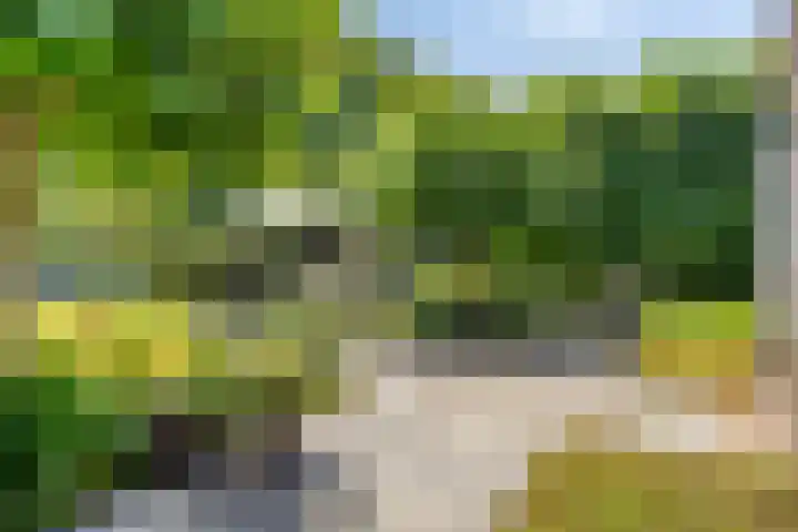 Constantijnlaan 13 Vught thumbnail 40