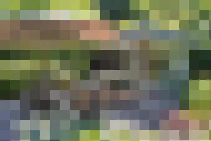 Constantijnlaan 13 Vught thumbnail 48