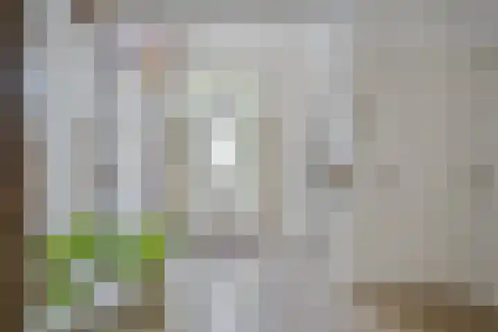 Constantijnlaan 13 Vught thumbnail 5