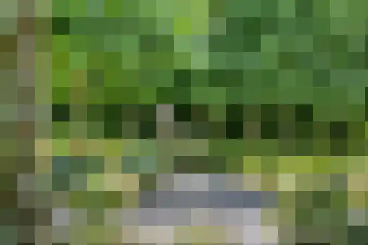 Constantijnlaan 13 Vught thumbnail 52