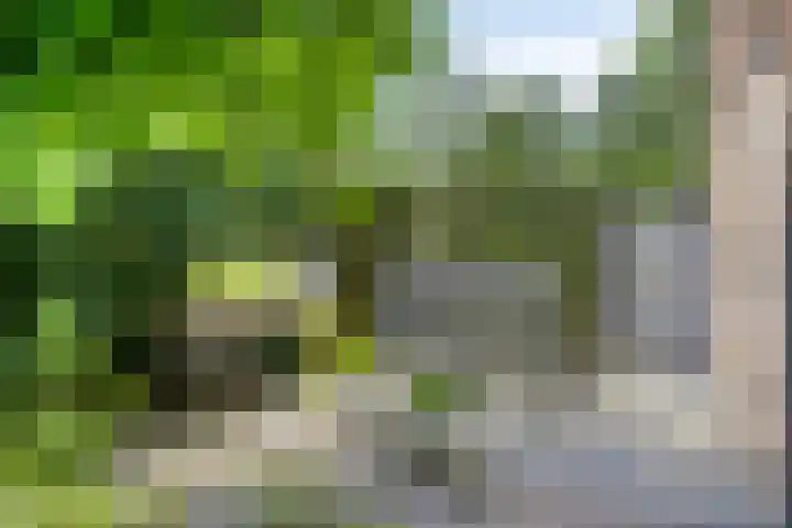 Constantijnlaan 13 Vught thumbnail 55