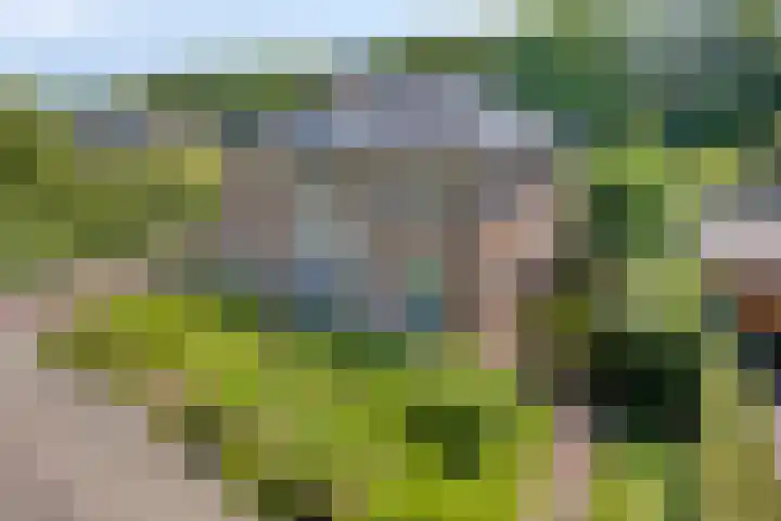 Constantijnlaan 13 Vught thumbnail 60