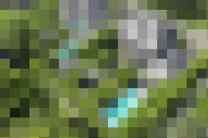 Constantijnlaan 13 Vught thumbnail 61