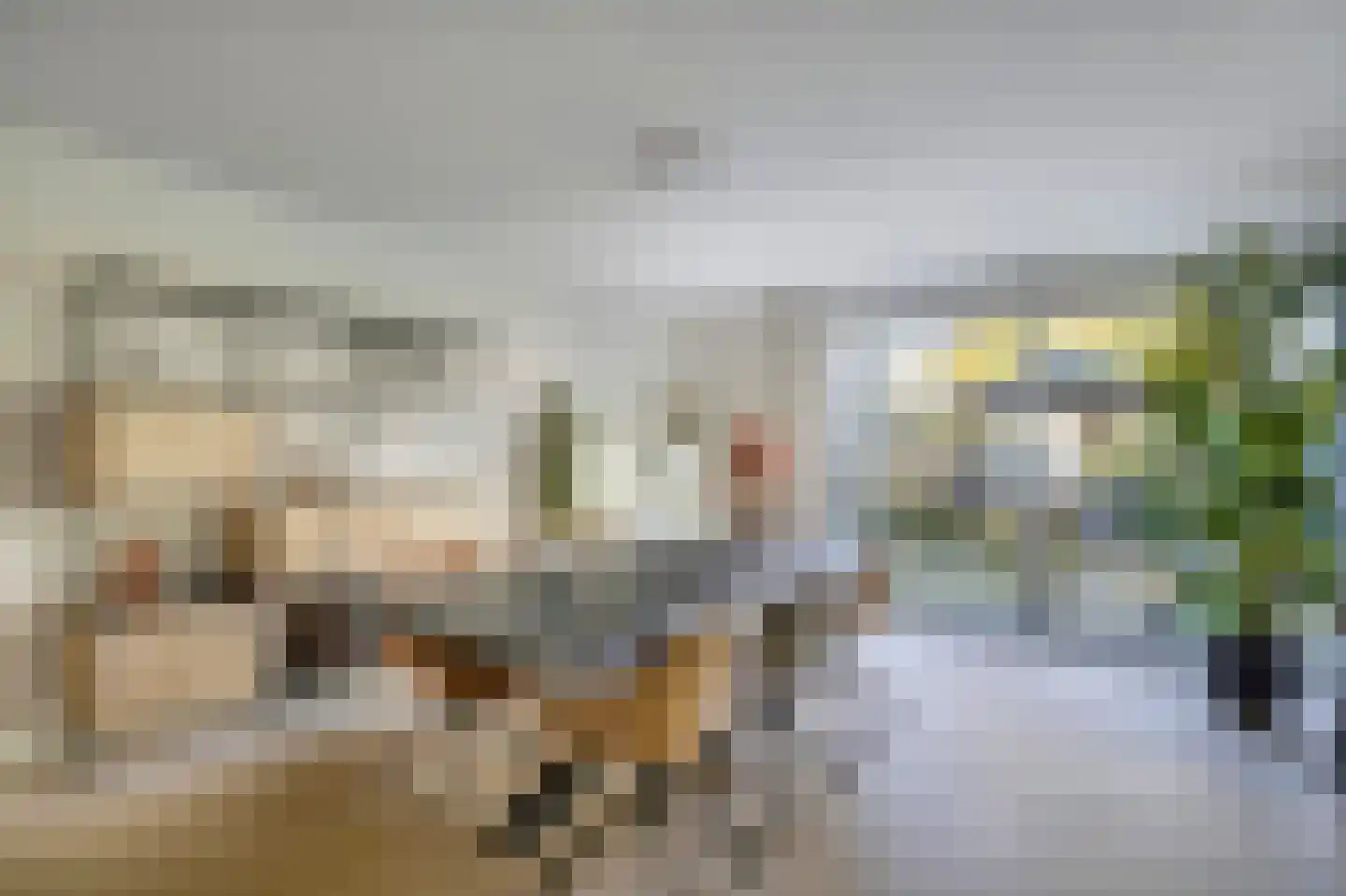 Constantijnlaan 19 Sassenheim thumbnail 11