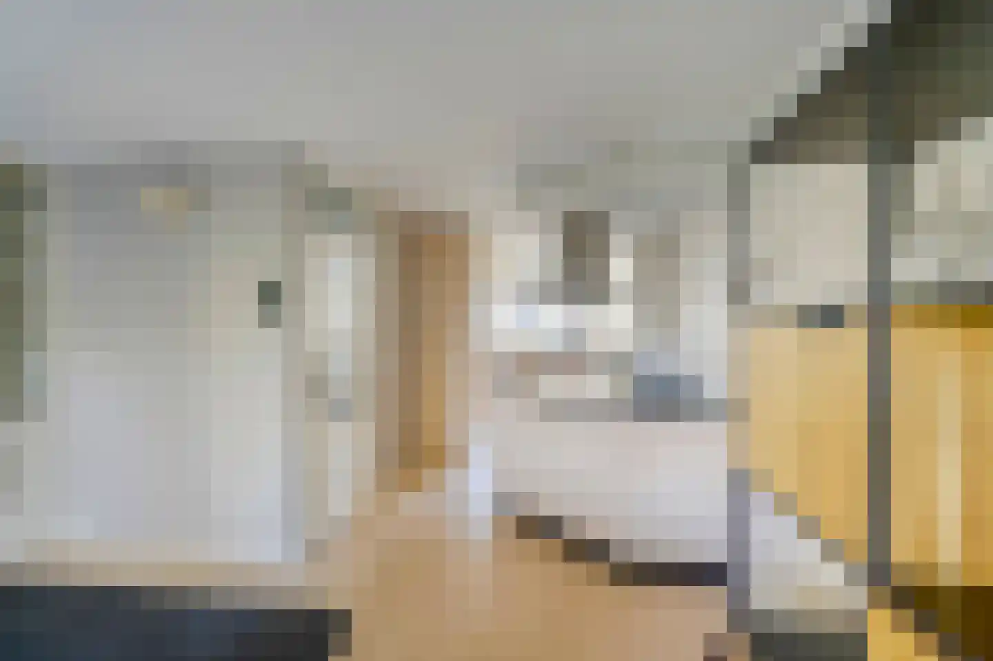 Constantijnlaan 19 Sassenheim thumbnail 13