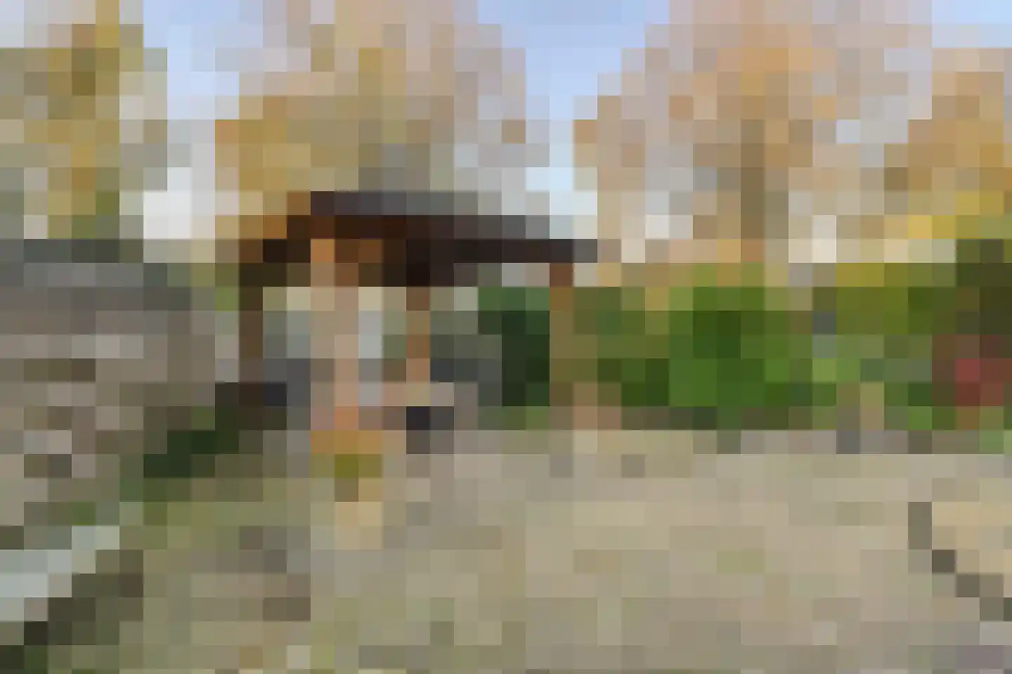 Constantijnlaan 19 Sassenheim thumbnail 18