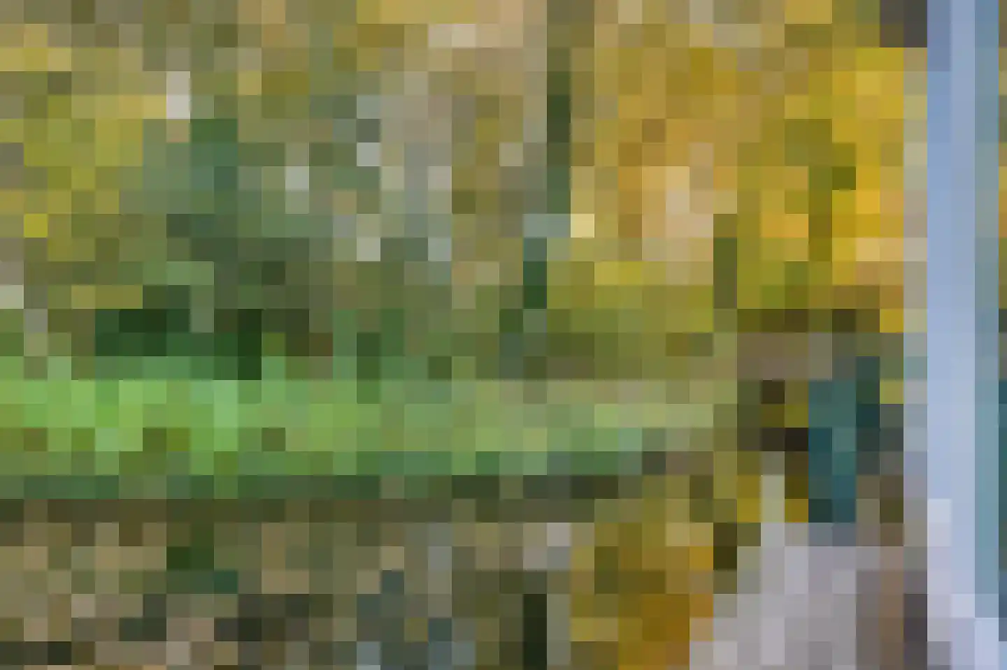 Constantijnlaan 19 Sassenheim thumbnail 22