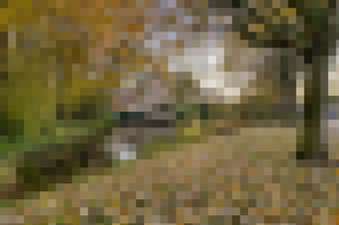 Constantijnlaan 19 Sassenheim thumbnail 23