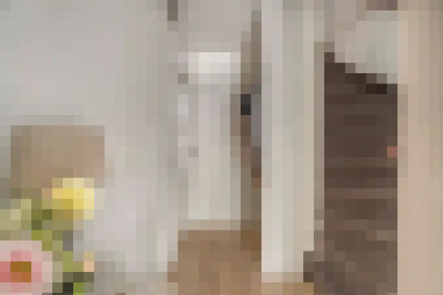 Constantijnlaan 19 Sassenheim thumbnail 25