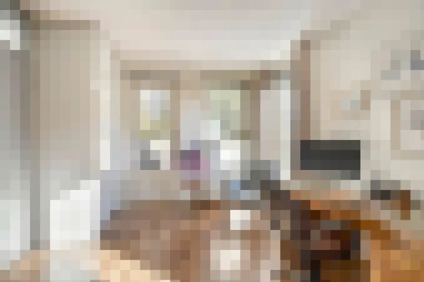 Constantijnlaan 19 Sassenheim thumbnail 29