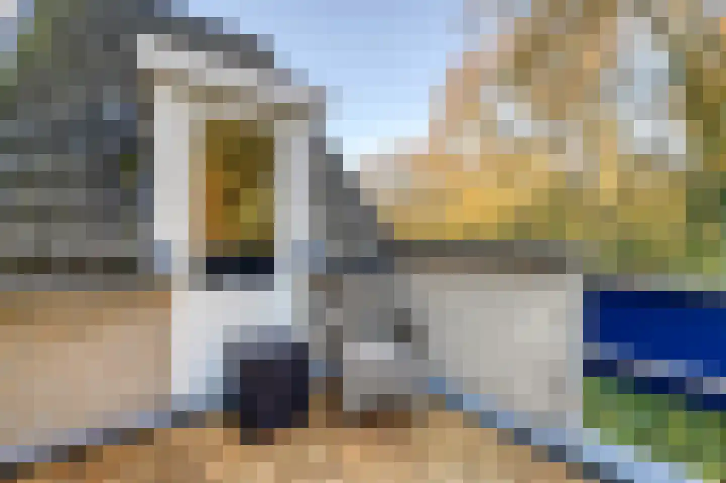 Constantijnlaan 19 Sassenheim thumbnail 32