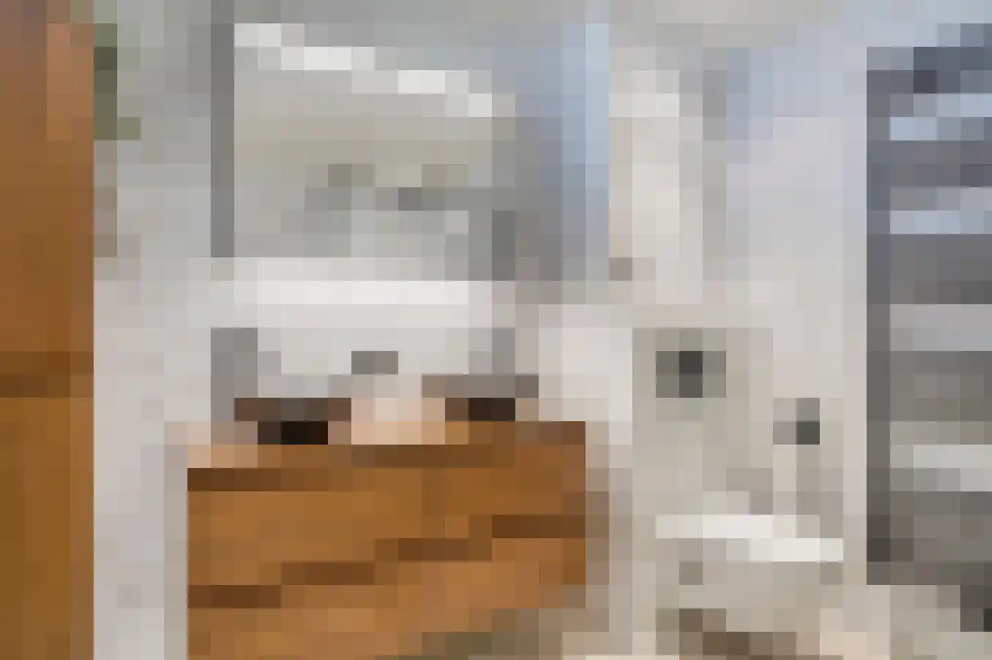 Constantijnlaan 19 Sassenheim thumbnail 33