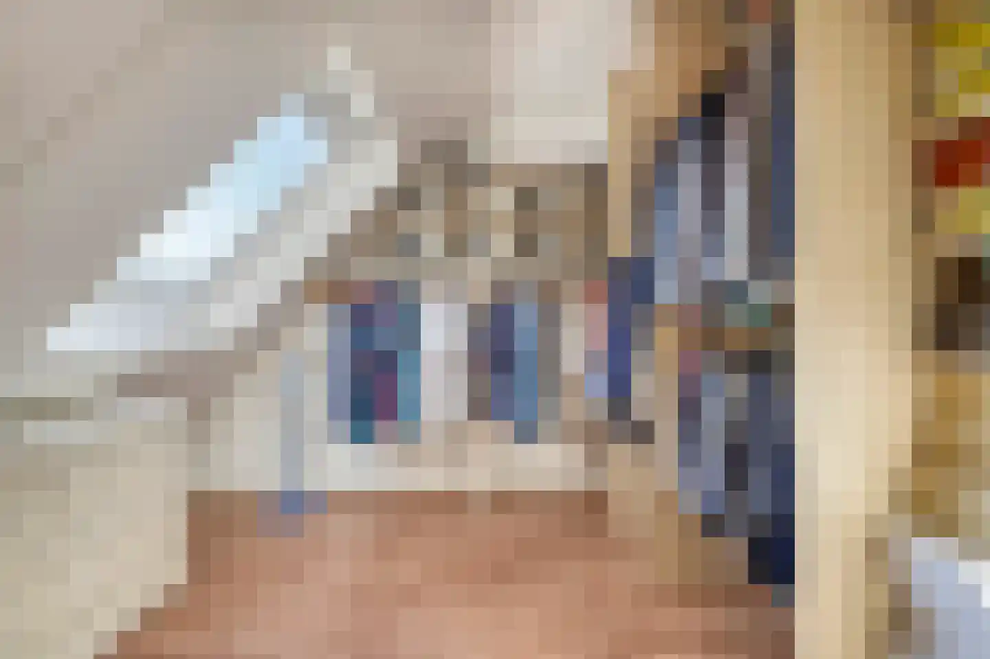 Constantijnlaan 19 Sassenheim thumbnail 40