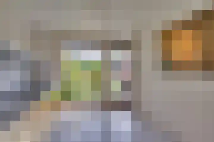 Constantijnlaan 2 Venlo thumbnail 12