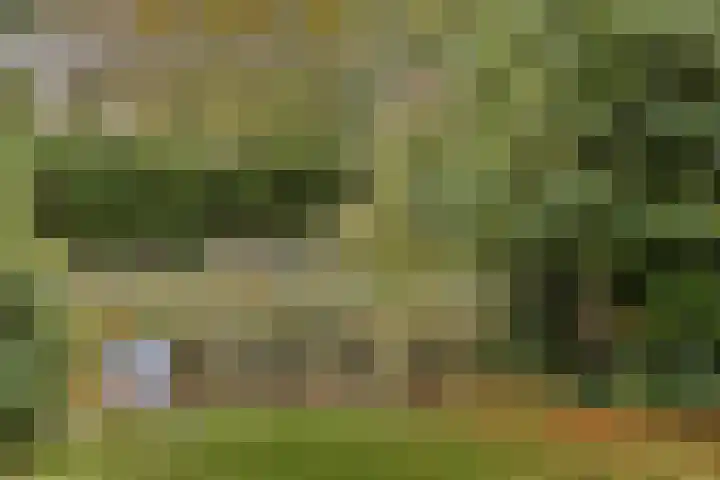 Constantijnlaan 8 Sassenheim thumbnail 10