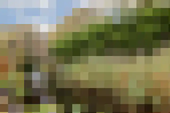 Constantijnlaan 8 Sassenheim thumbnail 11