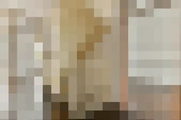 Constantijnlaan 8 Sassenheim thumbnail 15