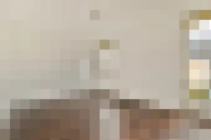 Constantijnlaan 8 Sassenheim thumbnail 17