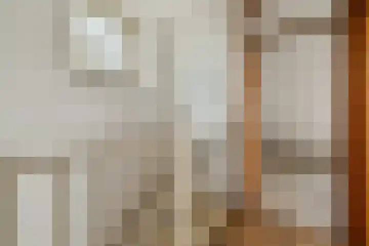 Constantijnlaan 8 Sassenheim thumbnail 26