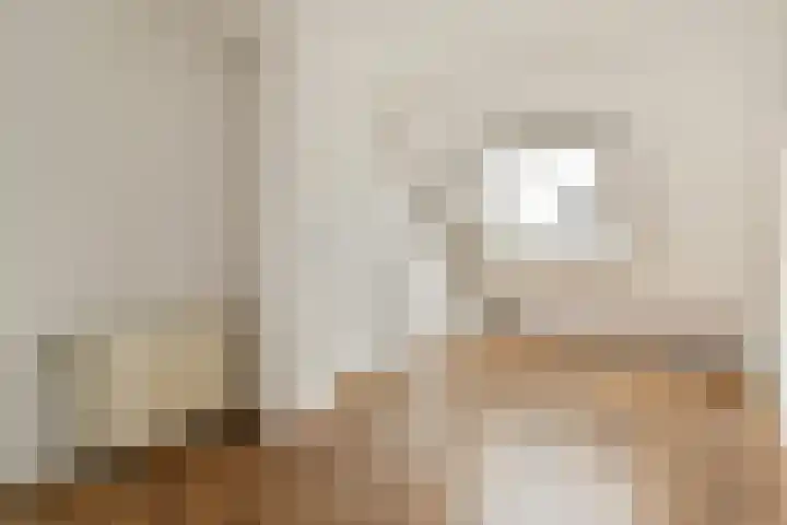 Constantijnlaan 8 Sassenheim thumbnail 29