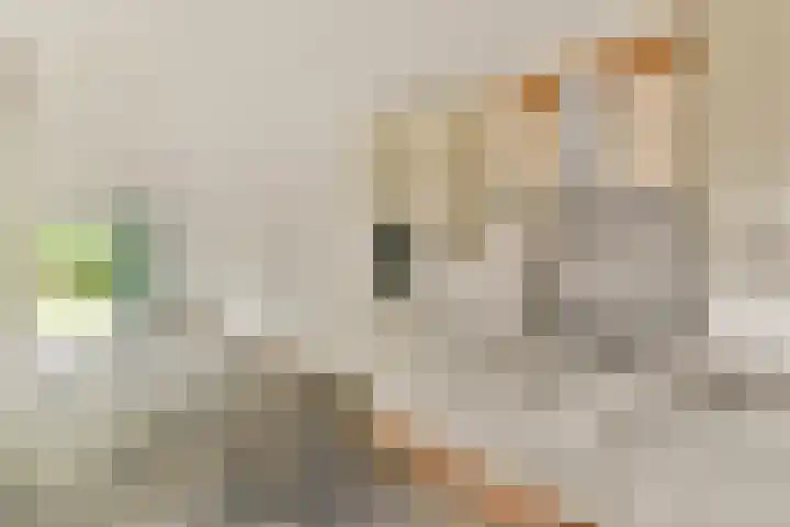 Constantijnlaan 8 Sassenheim thumbnail 7