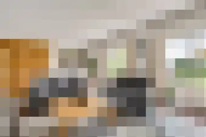Constantijnlaan 9 Venlo thumbnail 14