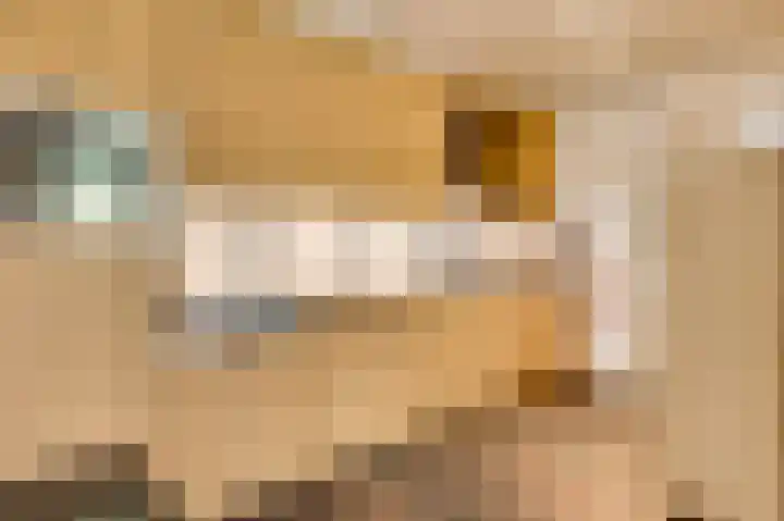Constantijnlaan 9 Venlo thumbnail 17