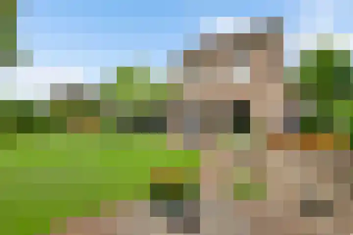 Constantijnlaan 9 Venlo thumbnail 40