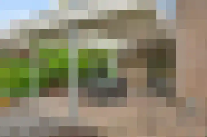 Constantijnlaan 9 Venlo thumbnail 42