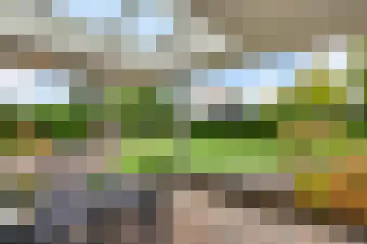 Constantijnlaan 9 Venlo thumbnail 43