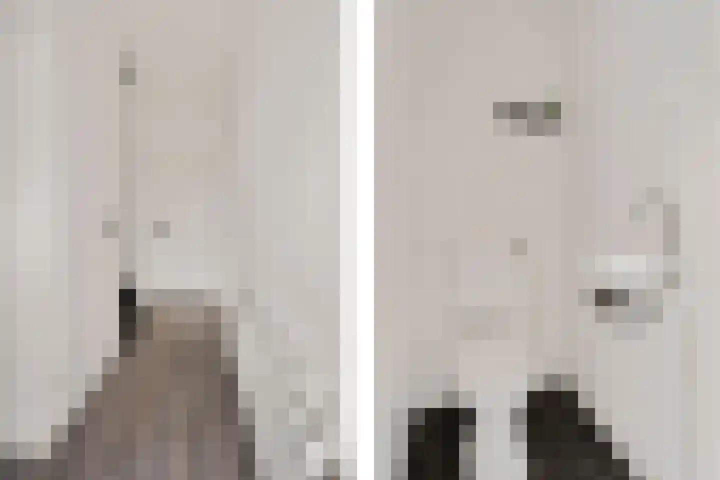Constantijnstraat 1 Vroomshoop thumbnail 10
