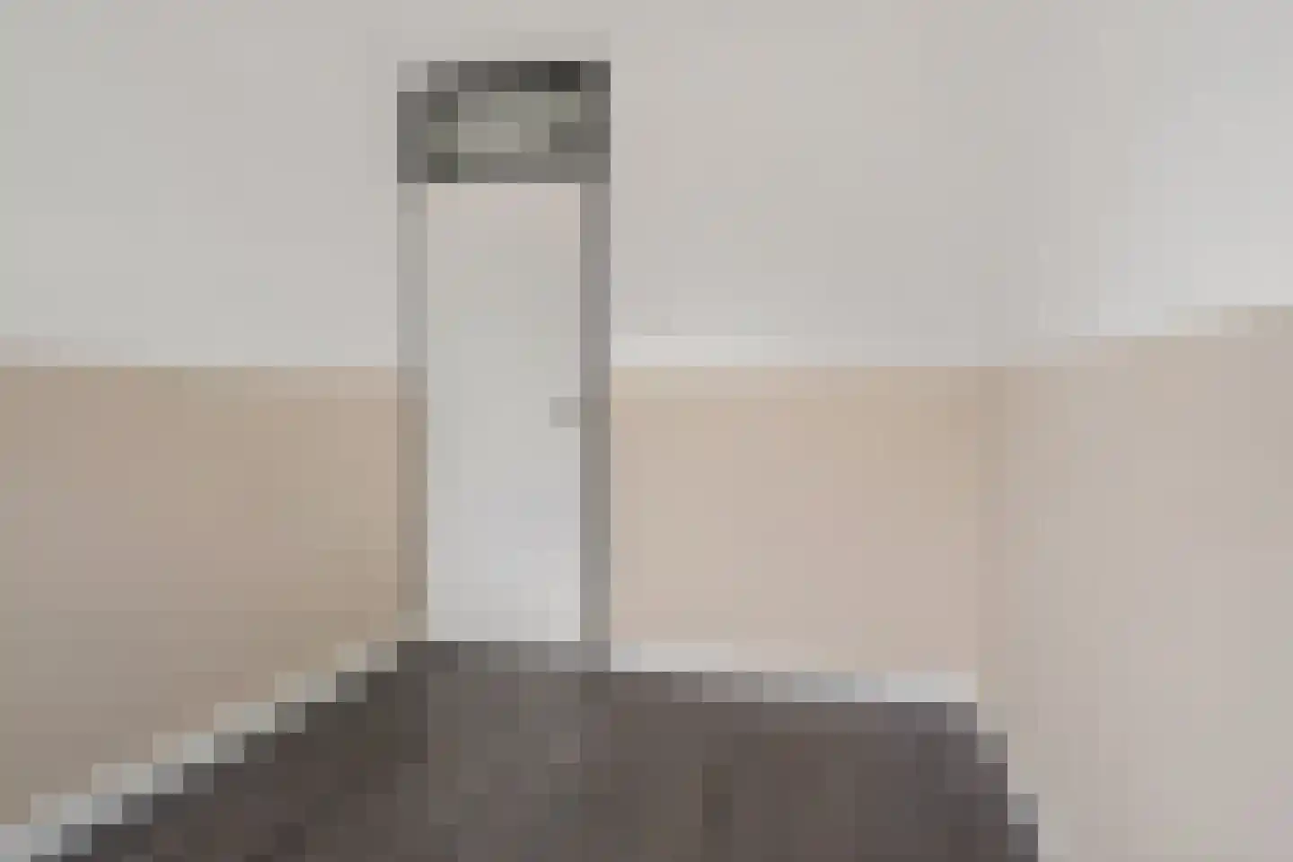 Constantijnstraat 1 Vroomshoop thumbnail 13