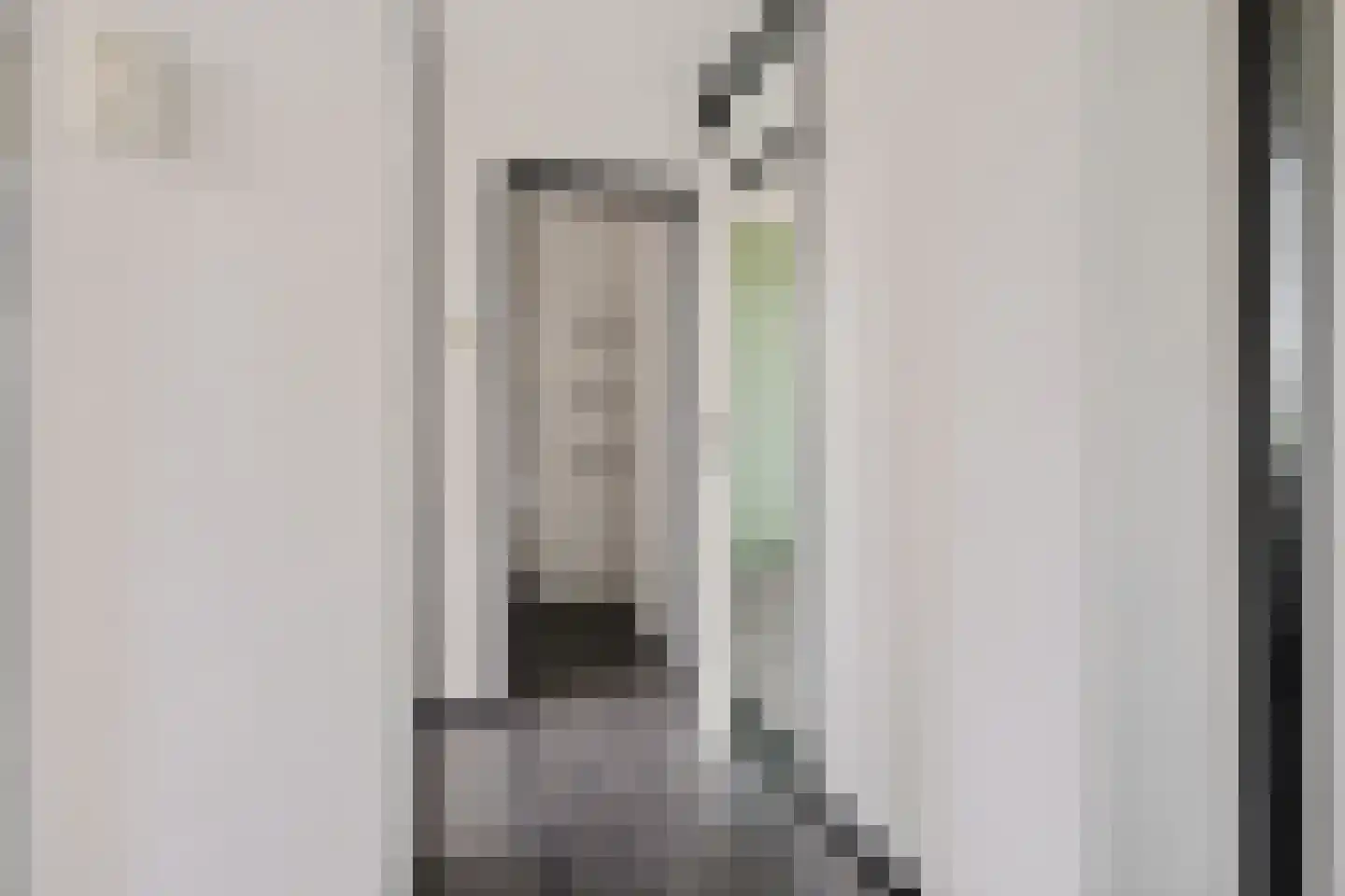Constantijnstraat 1 Vroomshoop thumbnail 18