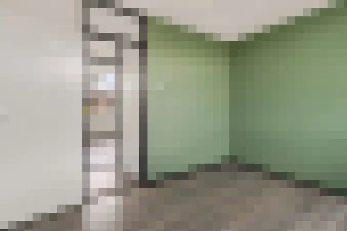 Constantijnstraat 1 Vroomshoop thumbnail 20