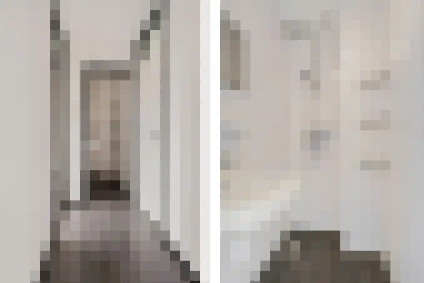 Constantijnstraat 1 Vroomshoop thumbnail 21