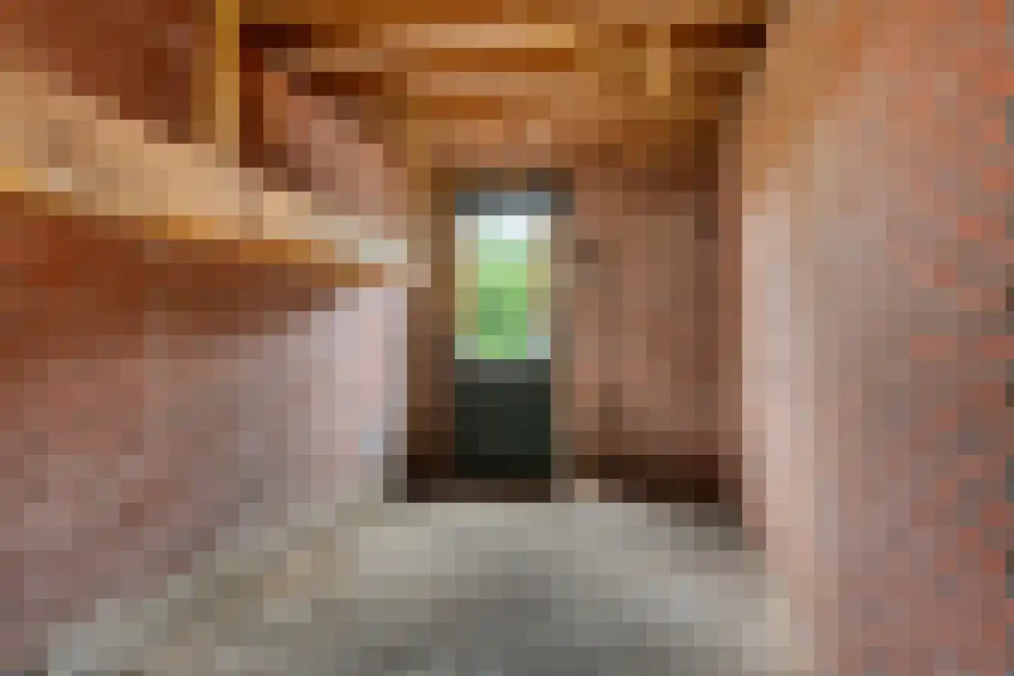 Constantijnstraat 1 Vroomshoop thumbnail 23