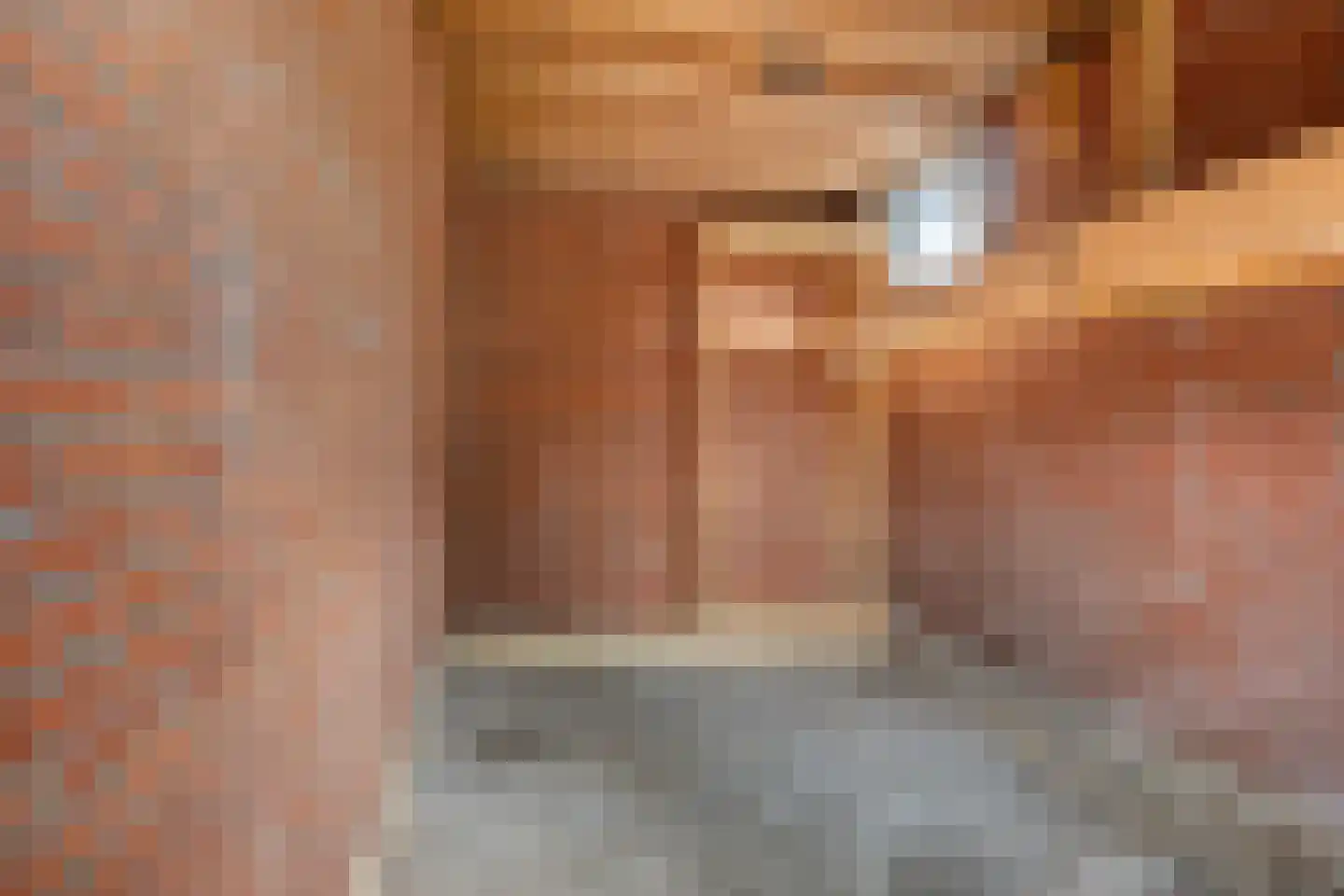 Constantijnstraat 1 Vroomshoop thumbnail 24