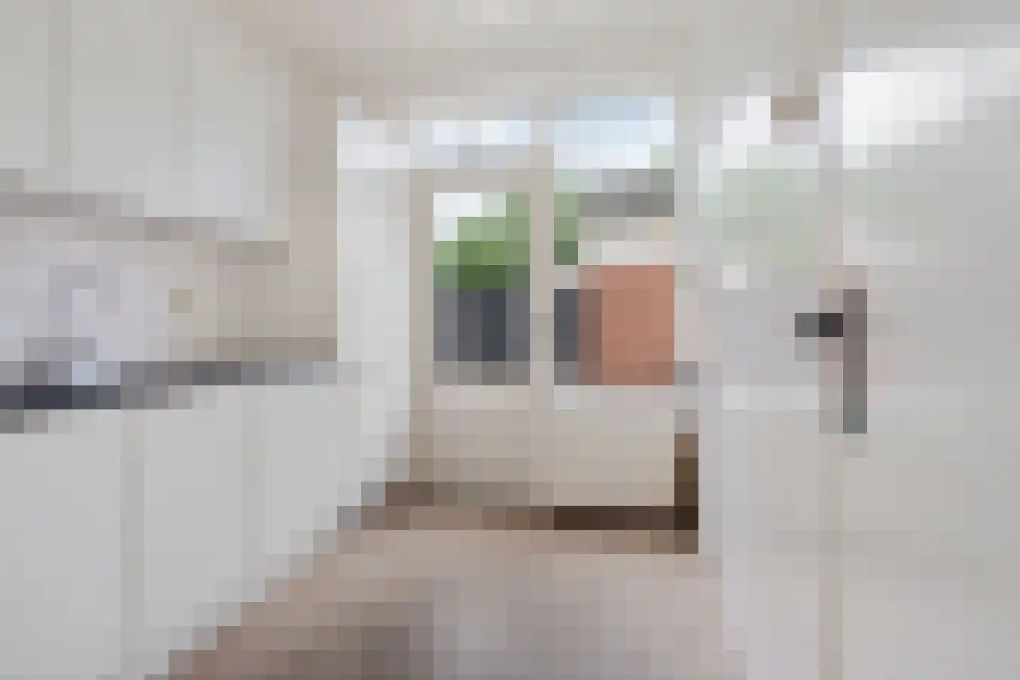 Constantijnstraat 1 Vroomshoop thumbnail 7