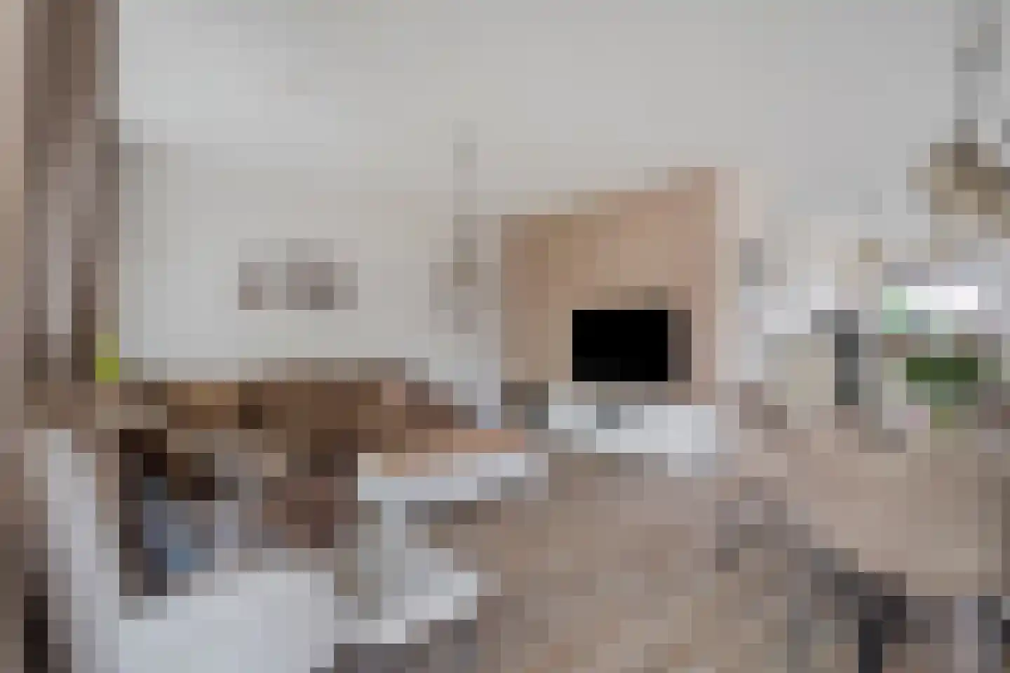 Constantijnstraat 11 Andelst thumbnail 11